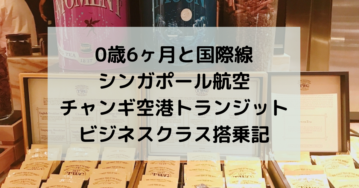 0歳6ヶ月と国際線 チャンギ空港5時間トランジット ビジネスクラスsq446 ダッカ行き 南アジアで子育て